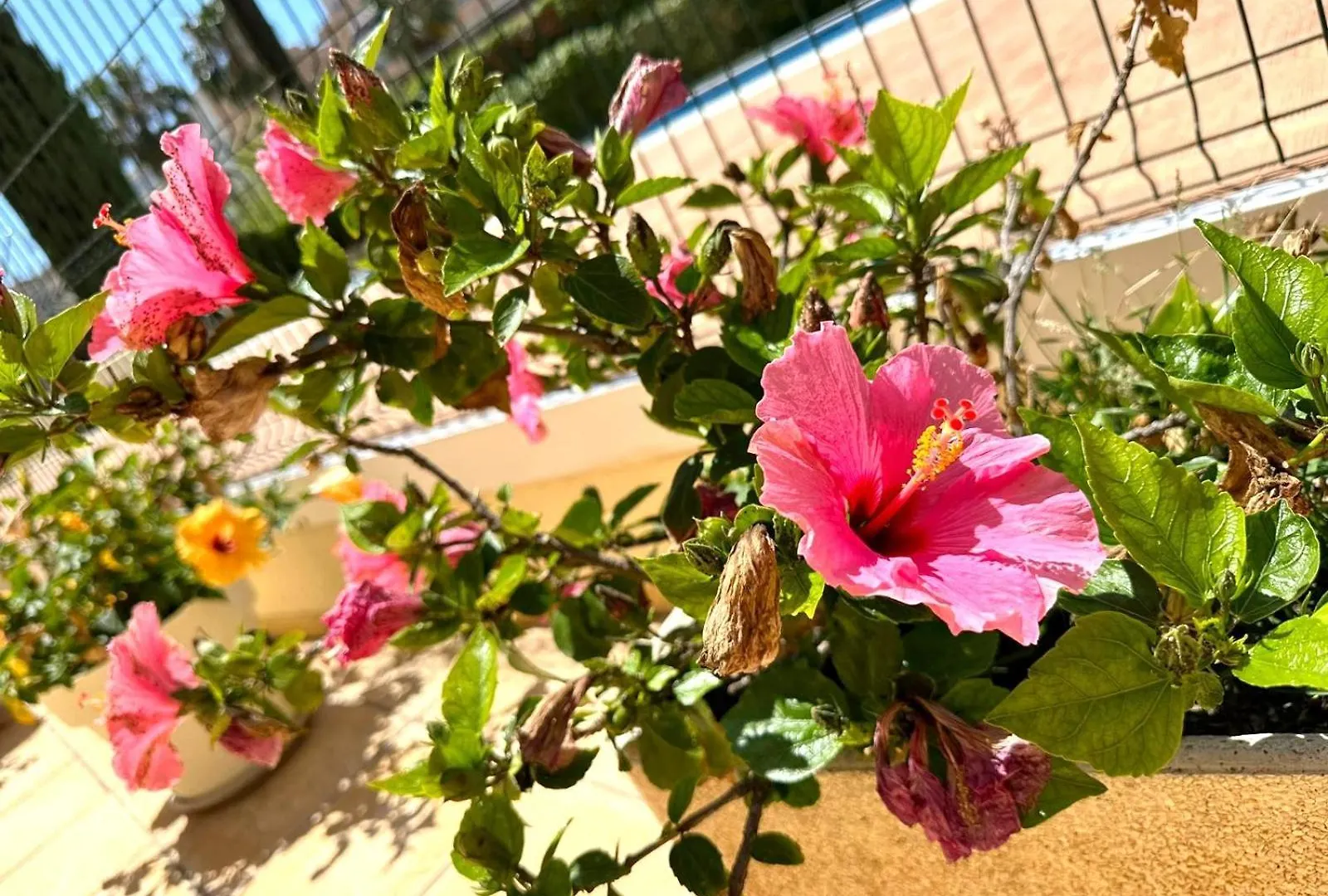 Keywise Mar Azul Apartment Malaga